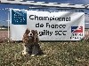  - Finale du CH de France agility 2018