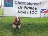  - Championnat de France Agility 2016